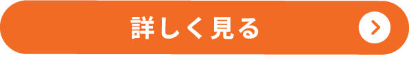 詳しく見る